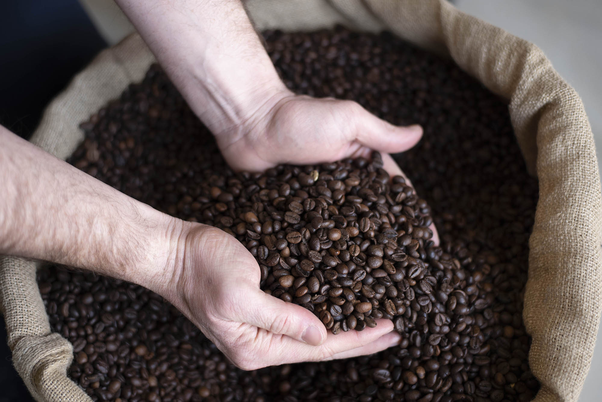 mani che reggono caffè